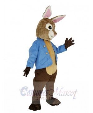 Brown and Gray Peter Rabbit Mascot Costume