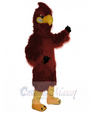 Hawk mascot costume