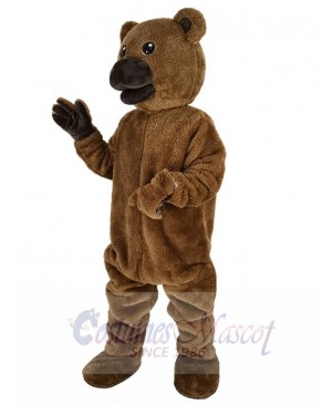 Bear mascot costume
