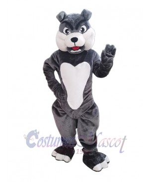 Dog mascot costume