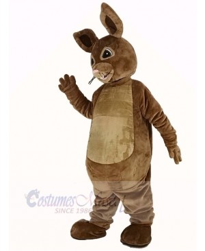 Peter Rabbit Mascot Costume