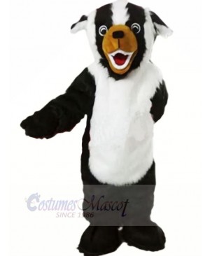White and Black Badger Mascot Costumes Cartoon