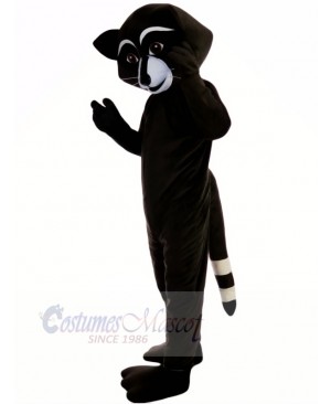 Wild Black Racoon Mascot Costumes Cartoon