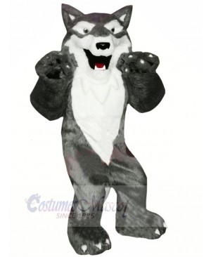 Grey and White Wolf Mascot Costumes Cartoon