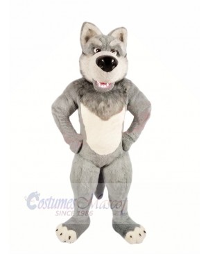 Grey Wolf with Big Nose Mascot Costumes Cartoon	