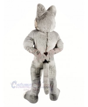 Grey Wolf with Big Nose Mascot Costumes Cartoon	