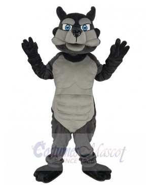 Wolf mascot costume