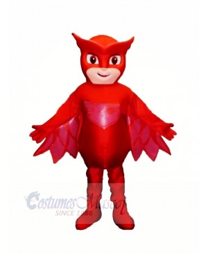 Heroe Boy with Red Masks Mascot Costume Cartoon