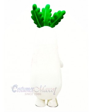 White Radish Vegetable Mascot Costume Cartoon