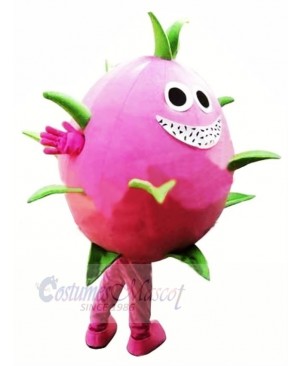 Dragon Fruit Pitaya Mascot Costume Cartoon