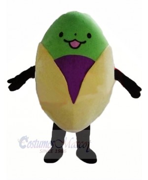 Cute Pistachio Mascot Costume Cartoon