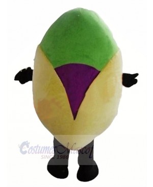 Cute Pistachio Mascot Costume Cartoon