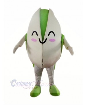 Smiling Pistachio Mascot Costume Cartoon