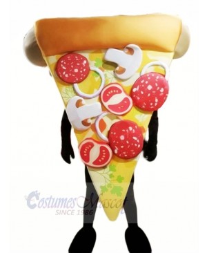 Top Quality Pizza Mascot Costume Cartoon