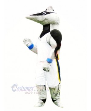 Sports Anteater Mascot Costume Cartoon