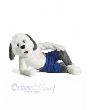 Dog mascot costume