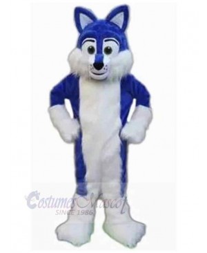 Dog mascot costume