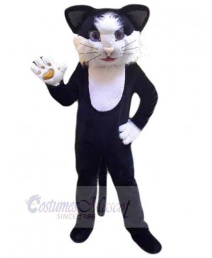 Cat mascot costume