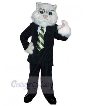 Cat mascot costume