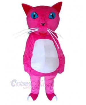 Cat mascot costume