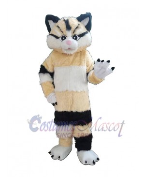 Cat mascot costume