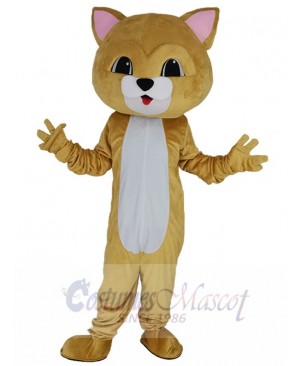 Cat mascot costume