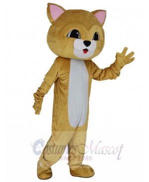 Cat mascot costume