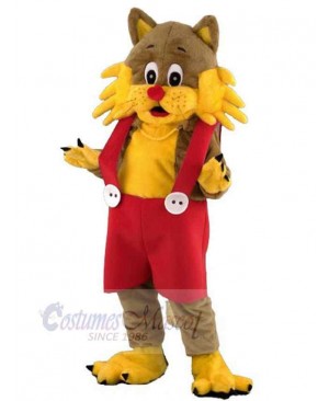 Cat mascot costume