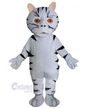 Cat mascot costume