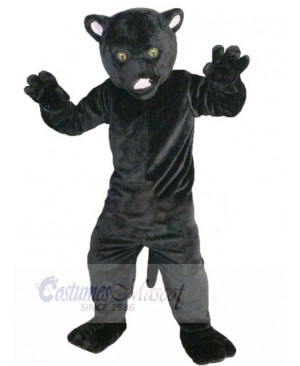 Cat mascot costume