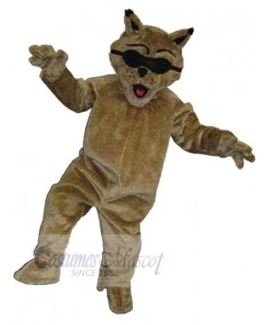 Cat mascot costume
