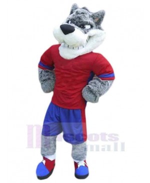 Wolf mascot costume