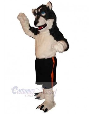 Wolf mascot costume