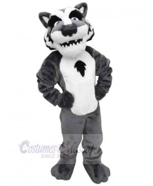 Wolf mascot costume