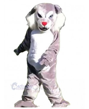 Wolf mascot costume