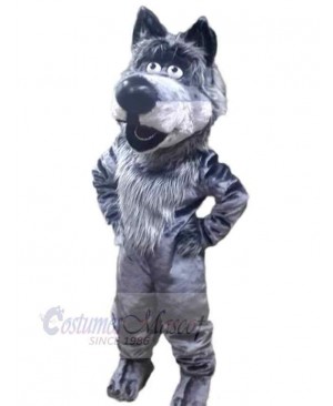 Wolf mascot costume