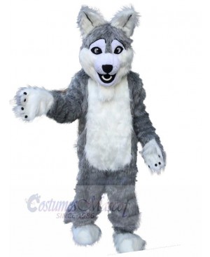 Wolf mascot costume