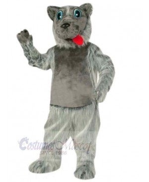 Wolf mascot costume