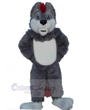 Wolf mascot costume