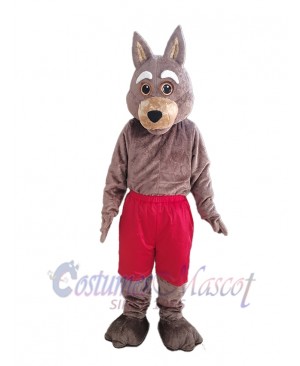 Coyote mascot costume