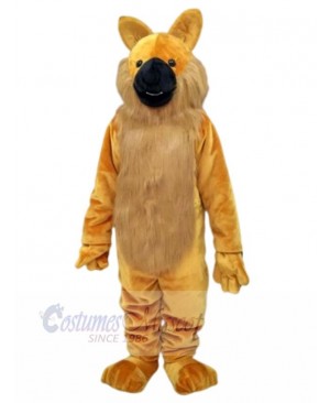 Wolf mascot costume