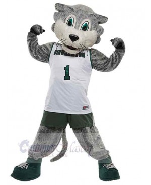 Wolf mascot costume