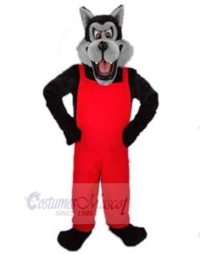 Wolf mascot costume