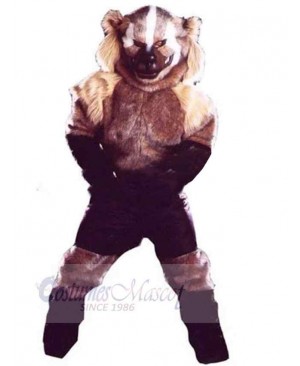 Wolf mascot costume