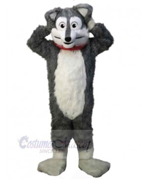 Wolf mascot costume