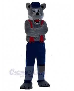 Wolf mascot costume