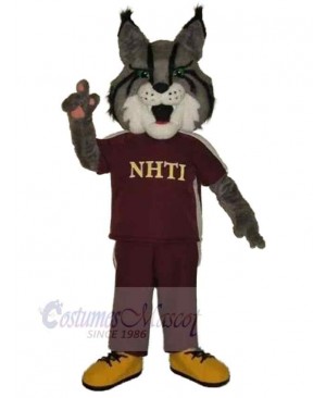 Wolf mascot costume