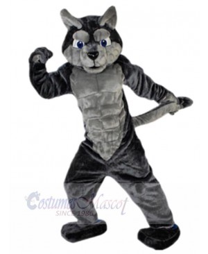 Wolf mascot costume