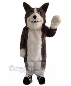 Wolf mascot costume