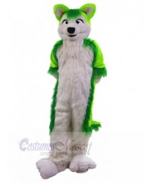 Wolf mascot costume